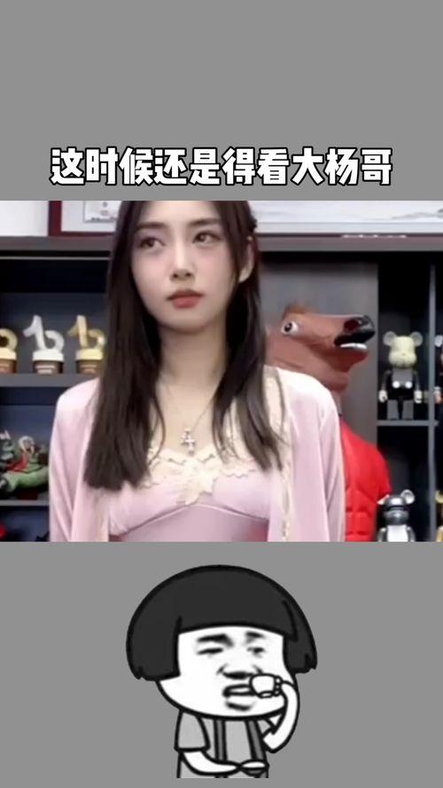 杨哥食材爆料视频,揭秘厨房里的秘密食材  第3张